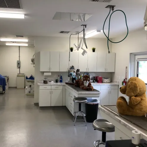 Treatment area with large stuffed animals on metal operating tables